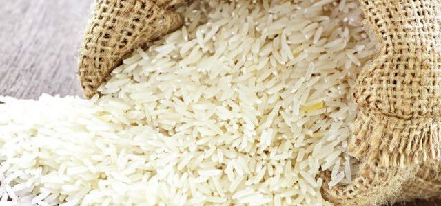فيديو… فلاحو الغربية: هنزرع الأرز حتى لو حبسونا