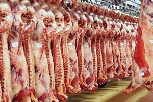نقيب عام الجزارين : ارتفاع أسعار اللحوم إلى ١٣٠ جنيها