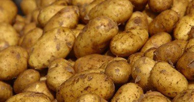 روسيا تخفف الحظر على واردات البطاطس المصرية