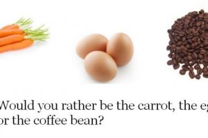 أنت جزرة أم بيضة أم حبة قهوة ؟
