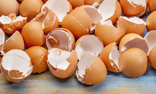 فوائد قشر البيض الكنز الصحي المجهول