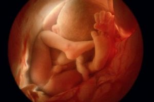 كيفية تحديد نوع الجنين أثناء الحمل من حركته فى بطن الأم ومتى يتحرك الجنين؟