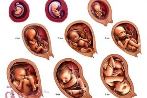 أسباب تأخر الحمل ، وما هى الخطوات الواجب إتباعها إذا كنتى تنتظرين مولودا؟
